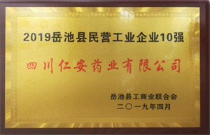 2019.04 岳池縣民營工業(yè)企業(yè)10強(qiáng)